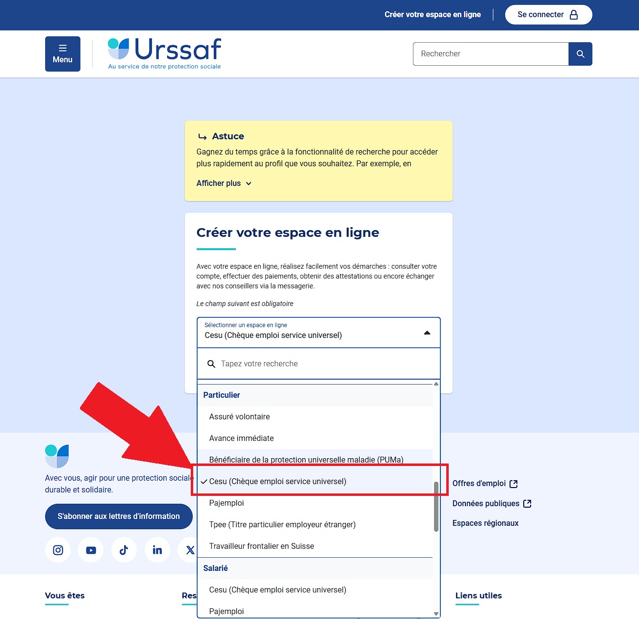 Liste déroulante des espaces en ligne, avec « Cesu » sélectionné sous la catégorie Particulier.